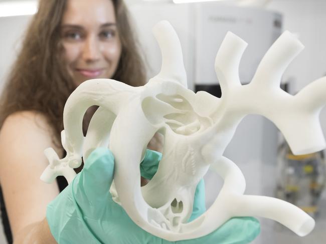 A 3D printed model of a heart printed by the Griffith University's small scale ADaPT facility. Photo: Supplied