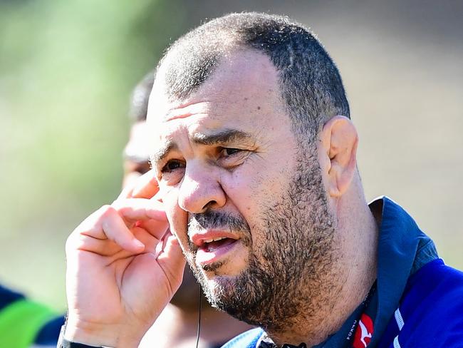 The Qantas Wallabies train at Wests Bulldogs Rugby Union Club, Brisbane. Head coach Michael Cheika. Photo: Rugby AU Media/Stuart Walmsley