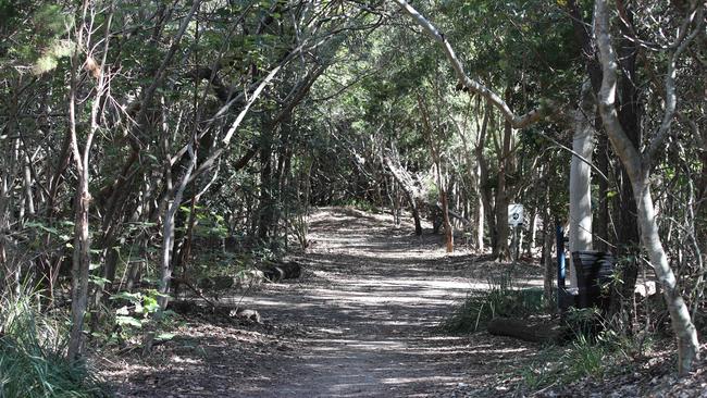 Fire ants have been detected at Philip park on The spit near federal walk. Picture Glenn Hampson