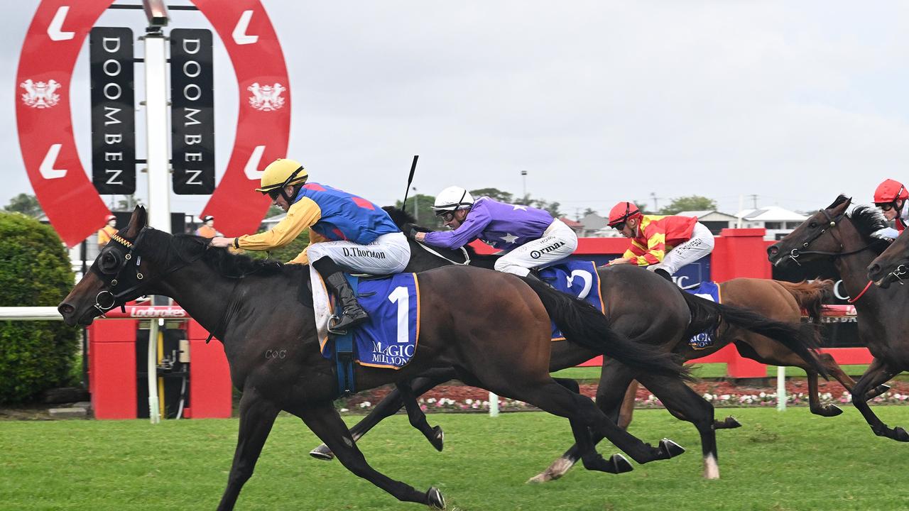 Runnerbyrunner guide for the 2024 Magic Millions 3YO Guineas at the