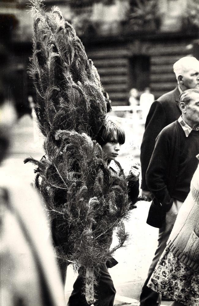 A boy with his a Christmas tree in 1981. 