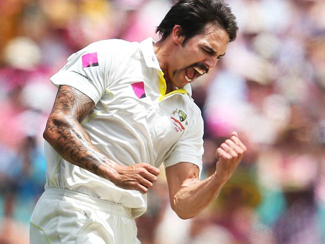 Johnson was chief destroyer in the whitewash Ashes series of 2013-14.