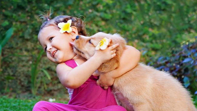 SMART Daily. Pets. Funny photo of happy baby hugging beautiful golden labrador retriever puppy. Girl play with dog. Family lifestyle, positive emotions of children fun games with home pet on summer vacation. Picture: iStock