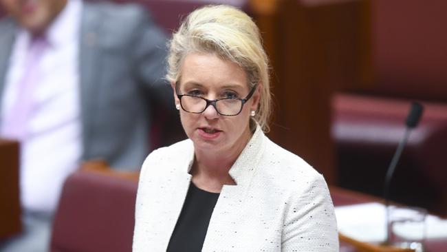 Sports Minister Bridget McKenzie supports the funding cut decision. Picture: AAP Image/Lukas Coch