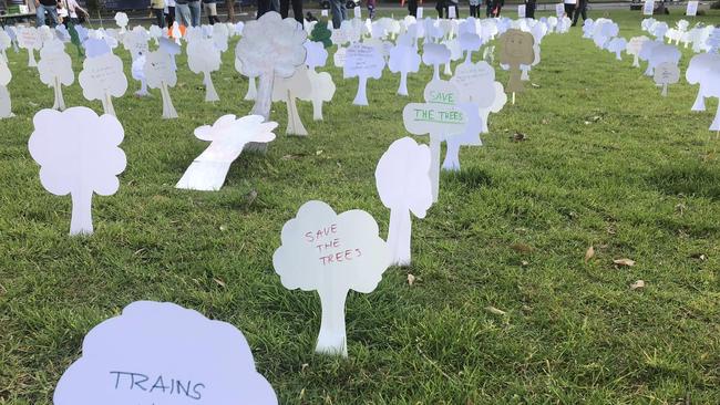 Residents planted hundreds of paper trees in Cammeray Park. Picture: Supplied