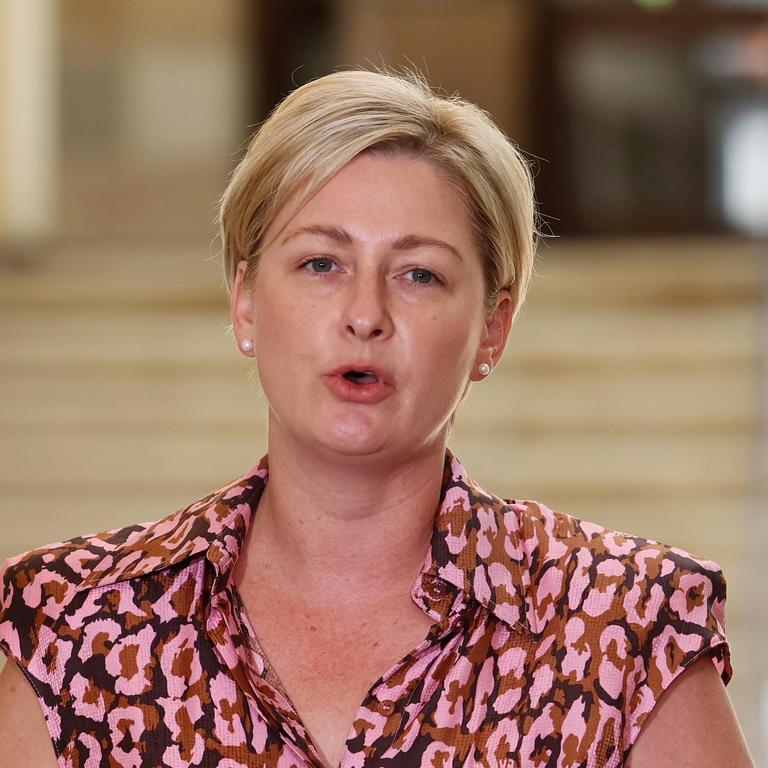 Queensland Minister for Child Safety Amanda Camm during a press conference in Brisbane. Picture: Supplied