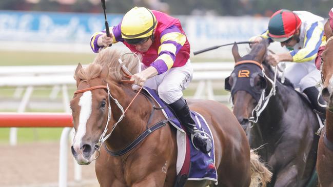 Mr Mozart looks the one to beat on a wet track in the Silver Eagle at Randwick. Picture: Getty Images