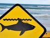 Alert: Group of sharks sighted at popular SA beach