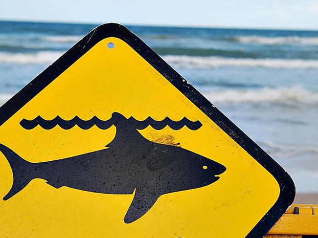 Sharks warning sign.