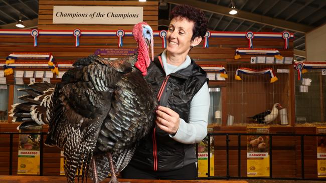 Trudy Hull from Strathalbyn with her bronze wing turkey gobbler 'Pav' which won champion field and game at the Royal Adelaide Show. Picture: Tait Schmaal