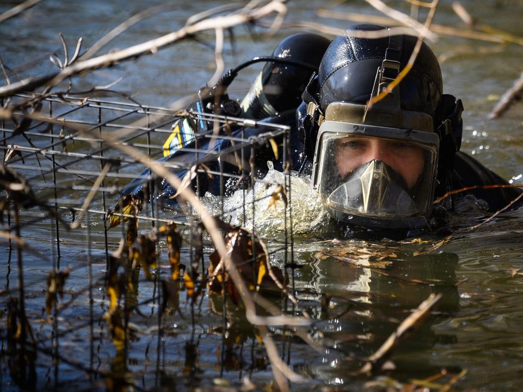 A police diver searches Mount Pond on Clapham Common. Picture: Leon Neal/Getty Images