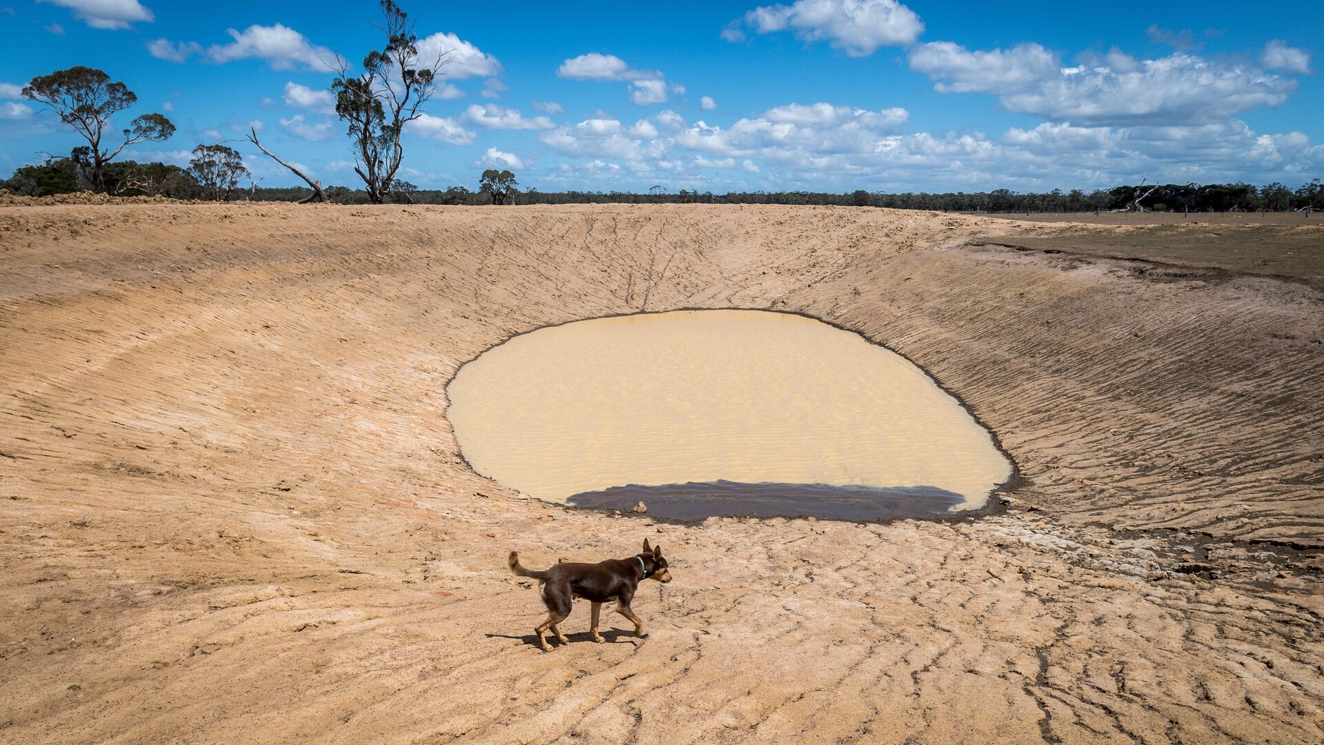 Land tax is the ‘last straw’ for Victorian farmers as drought batters crops