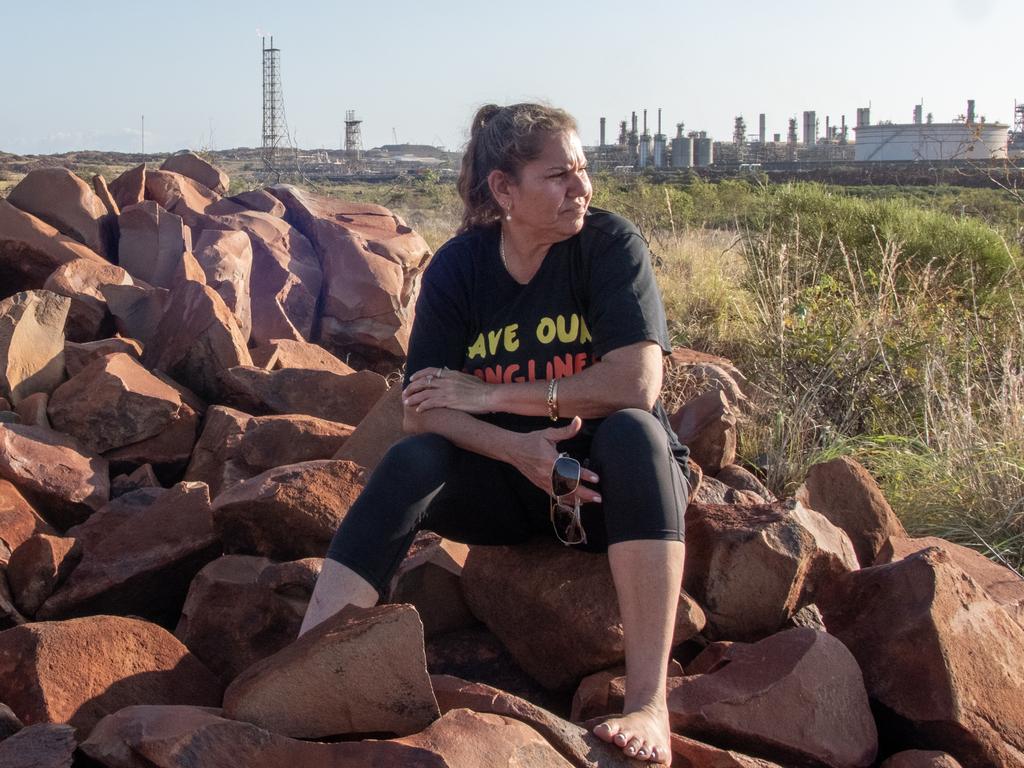 Activist throws Shelf spanner in Watt’s works