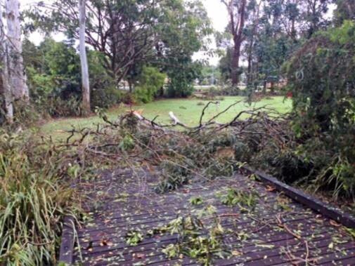 Trees were brought down at Rotary Settlers Park, Glasshouse Mountains. Picture: Sunshine Coast Council