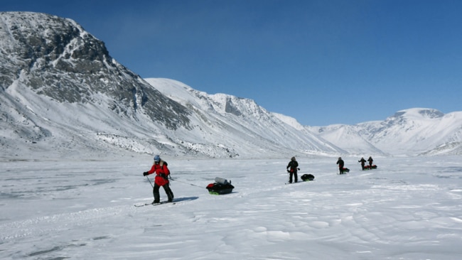 Sky tour among polar bears in Canada. Image: Black Feather