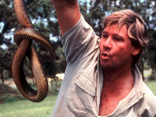 Not normal: Steve Irwin defied human’s natural tendency to fear snakes.