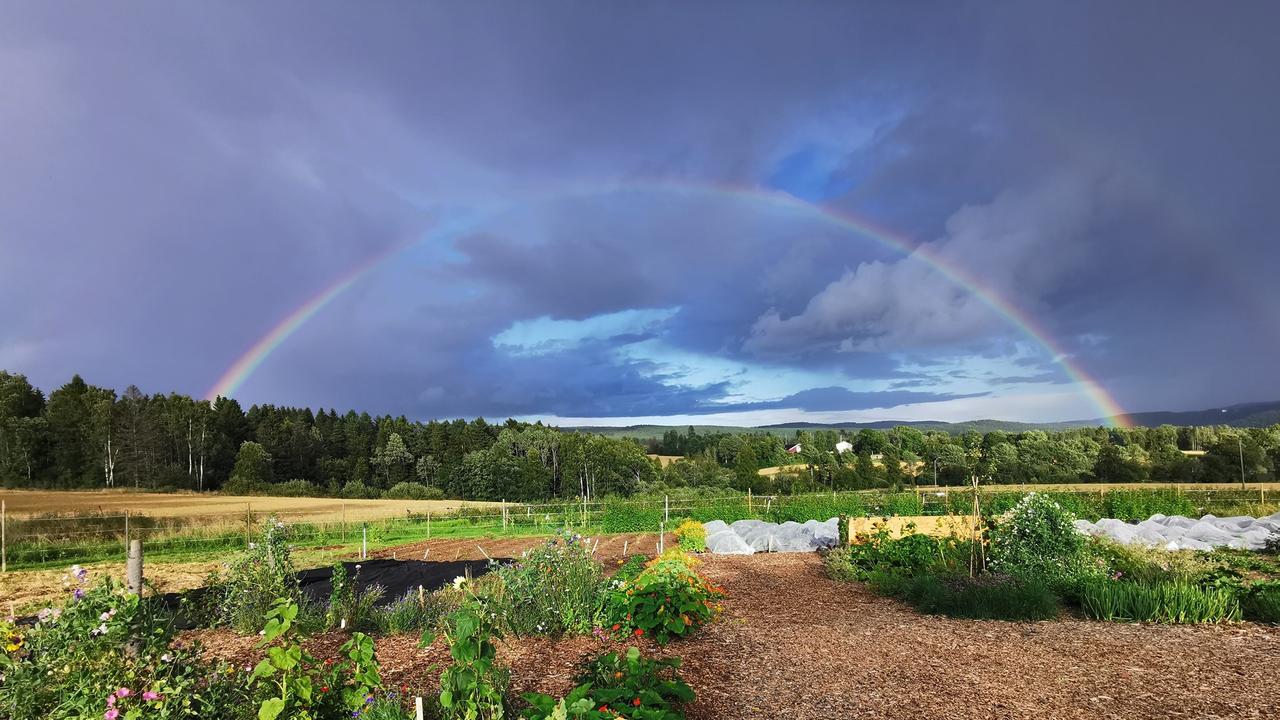 SOCIAL MEDIA IMAGE DISCUSS USE WITH YOUR EDITOR - A rainbow over Kirkeby.