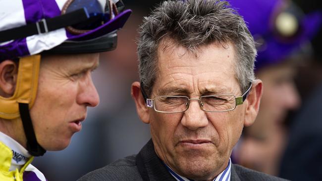 Trainer Tracey Bartley can land the Wellington Cup with McCormack.