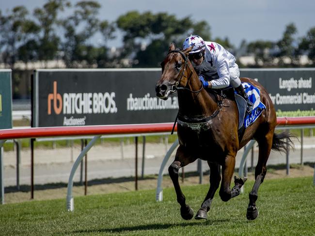 Race 4 at the Gold Coast Turf Club on Saturday.  Winning horse Sunlight , ridden by  jockey Luke Currie. Picture: Jerad Williams