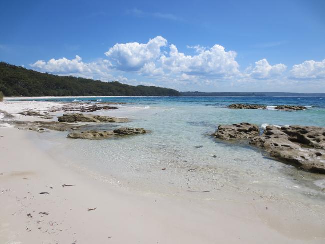 Beware bluebottles at local beaches - Our Nelson