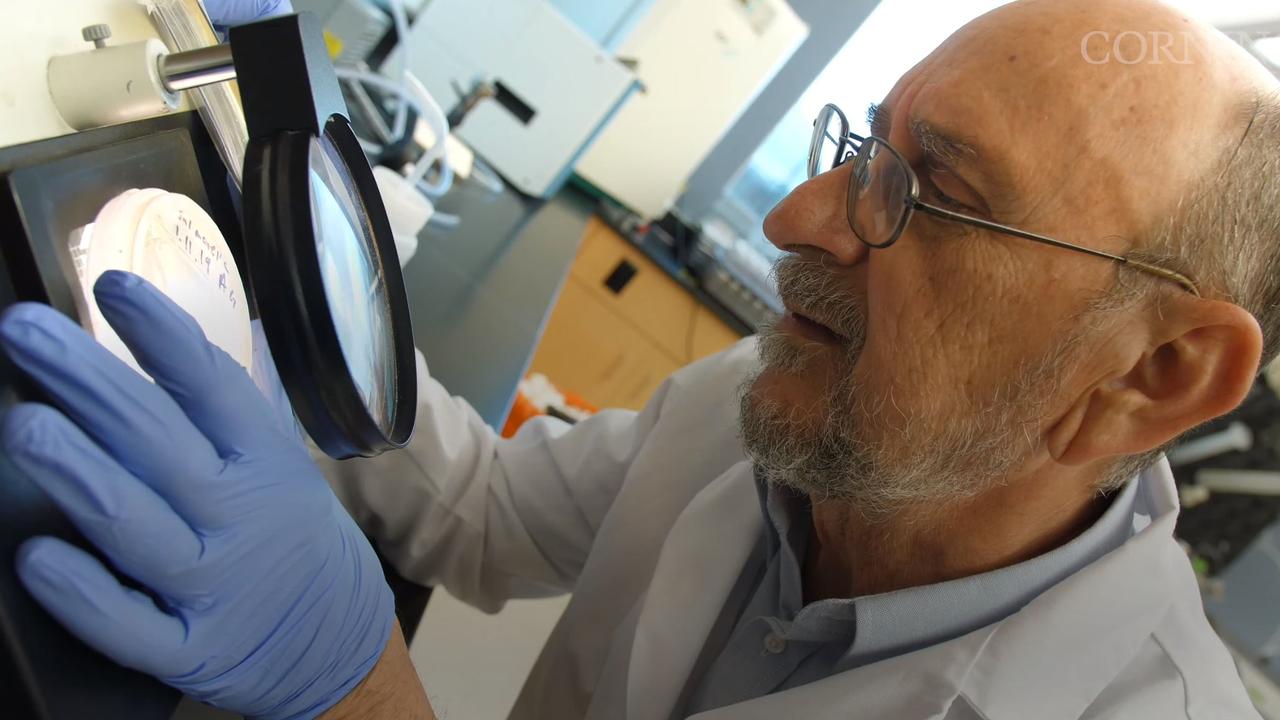 Professor Charles Gerba in the lab.