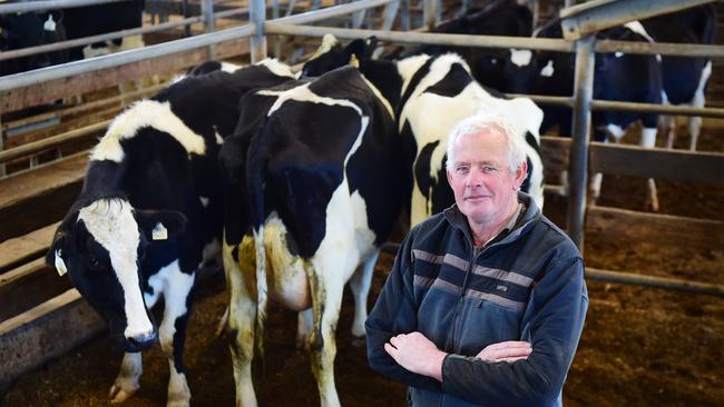 Shepparton dairy sale: Strong demand for in-milk cows | The Weekly Times