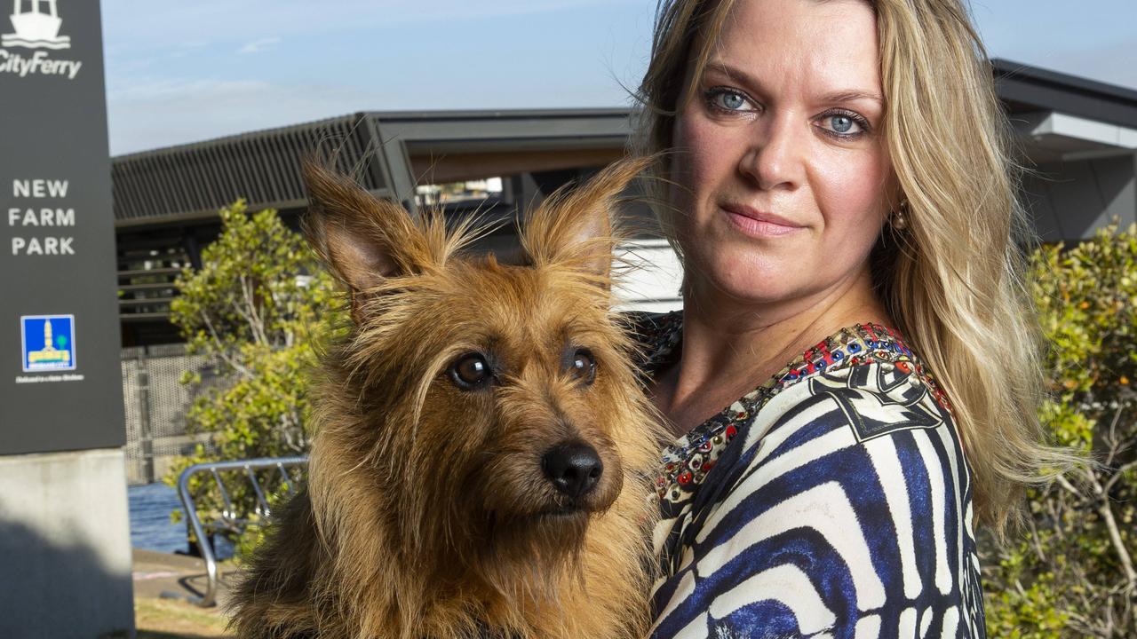 can dogs travel on translink