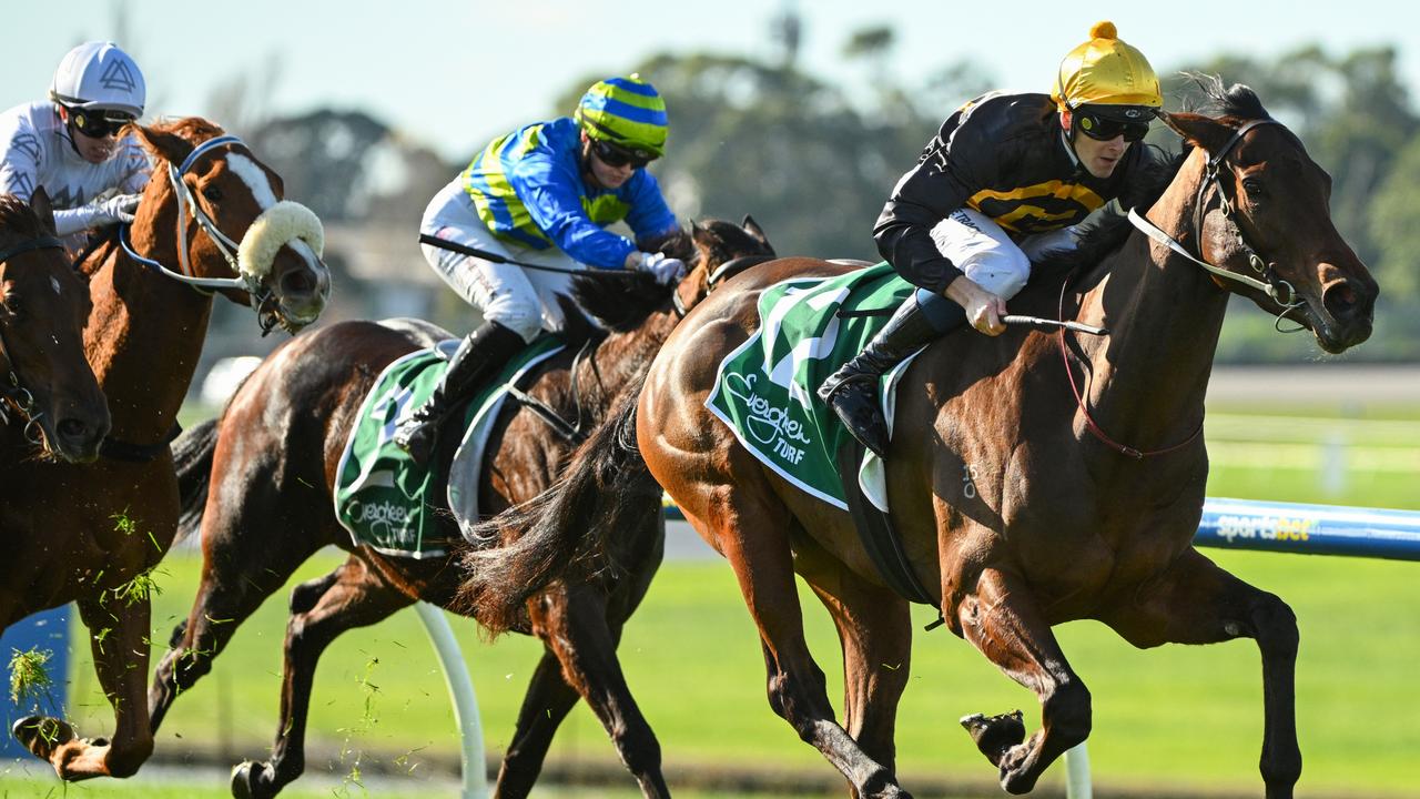 Miss Roumbini ready to rumble again at Caulfield