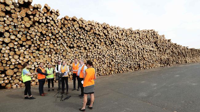 Minister for Resources Sarah Courtney speaking to reporters at Macquarie Wharf. Picture: LUKE BOWDEN