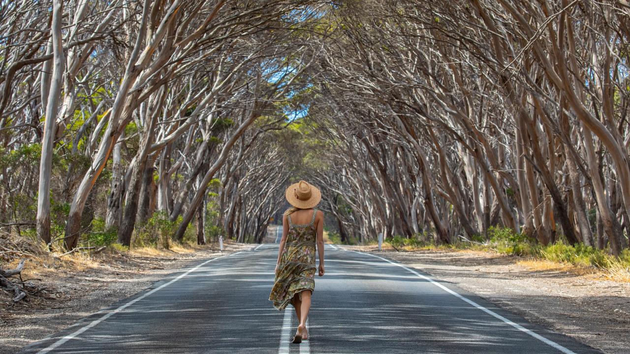 Penneshaw on Kangaroo Island. Picture: Kane Overall