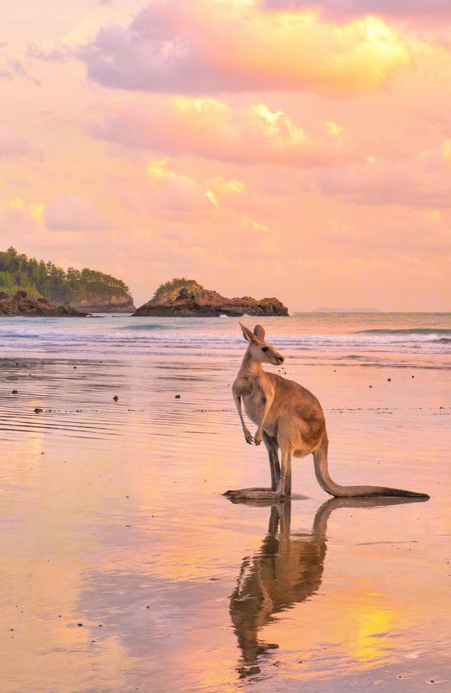 Cape Hillsborough at sunrise. Picture: Mark Fitz
