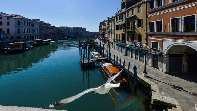 A seagull takes off from the Rialto Bridge over the empty Grand Canal in Venice. Picture: AFP