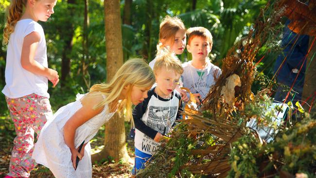 Children playing in the at Magic Circle and Dragon's Nest area of Stony Range. Picture: Phillip Rogers