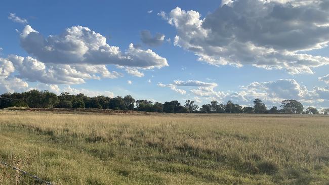 John Cohen's property on Bunglegumbie Road.