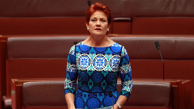 One Nation leader Pauline Hanson. Picture: Gary Ramage