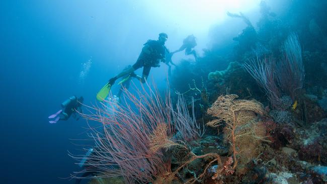 The Far Northern Reefs of the Great Barrier Reef.