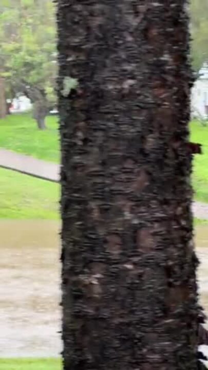 Gold Coast roads flooding after torrential downpour