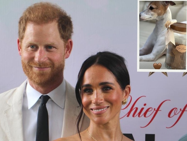 Artwork of Meghan Markle dog biscuits