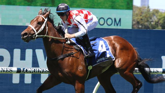 The Chris Waller-trained Waterford can end the day at Randwick on a high note. Picture: Grant Guy