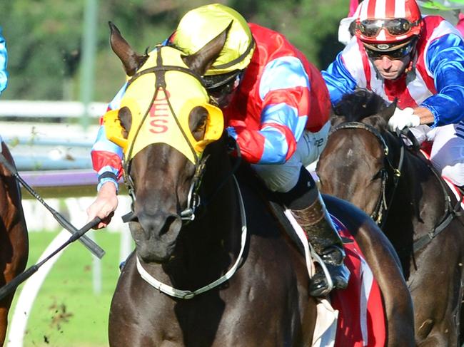 Cylinder Beach (for trainer Desleigh Forster and jockey Jim Byrne) winning the Toowoomba Cup. Picture: Grant Peters, Trackside Photography.