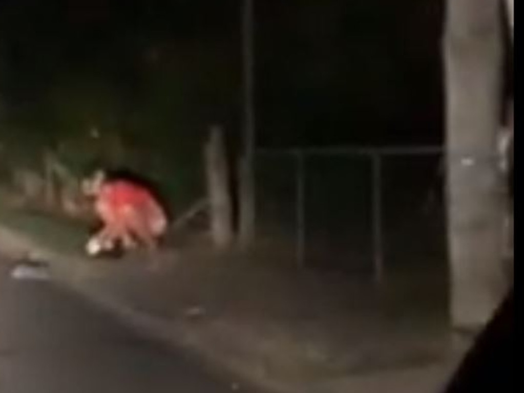 'I'm doing a sh*t!’ the tourist yelled when he was confronted by the driver.