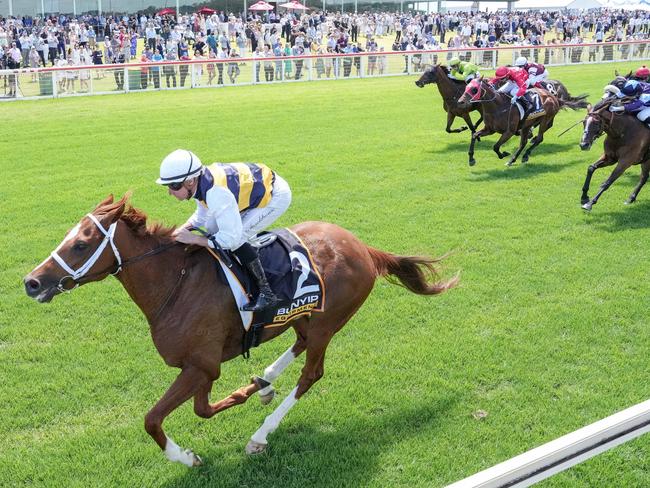 Deakin (FR) ridden by Daniel Stackhouse wins the Bunyip Equipment Handicap at Sportsbet Pakenham on December 21, 2024 in Pakenham, Australia. (Photo by George Sal/Racing Photos via Getty Images)