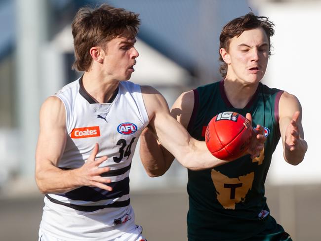 Archie Franklin of Northern Knights and Geordie Payne of Tasmania Devils. Picture: Linda Higginson