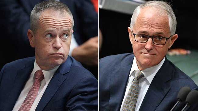 Bill Shorten continues to trail Malcolm Turnbull as preferred Prime Minister.