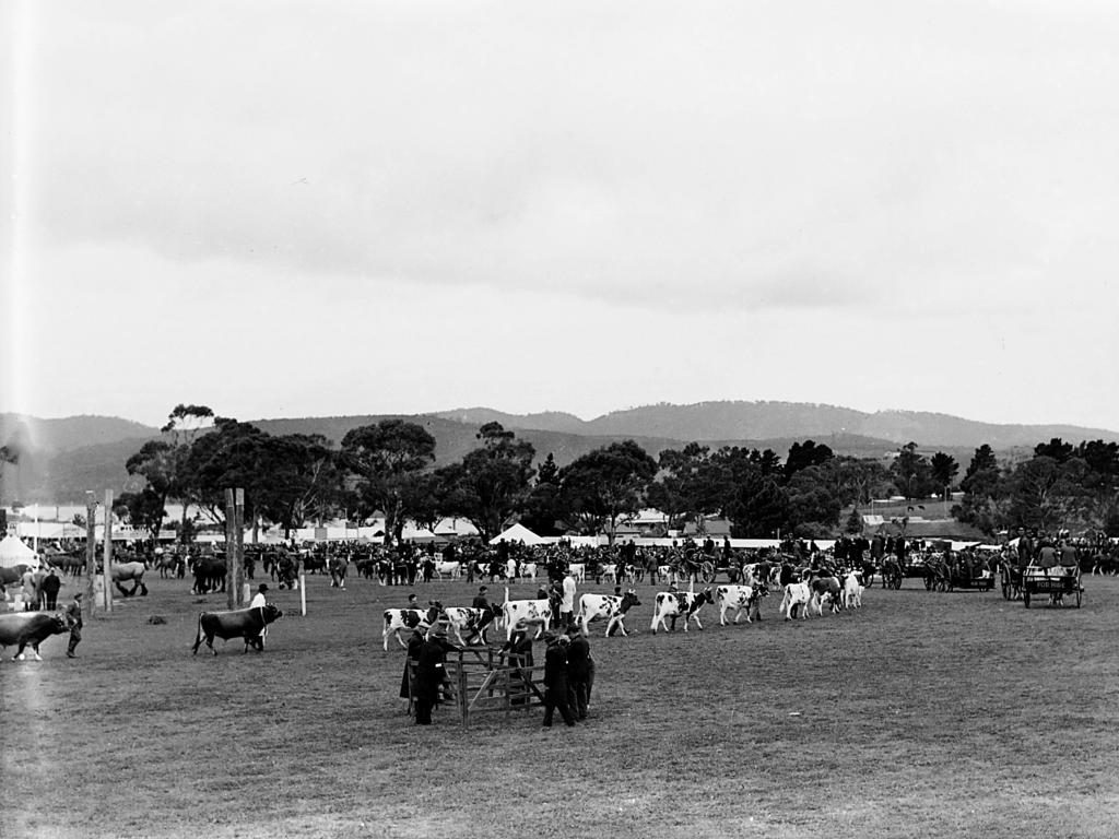 Mercury Archive historical file picture Royal Hobart Show.