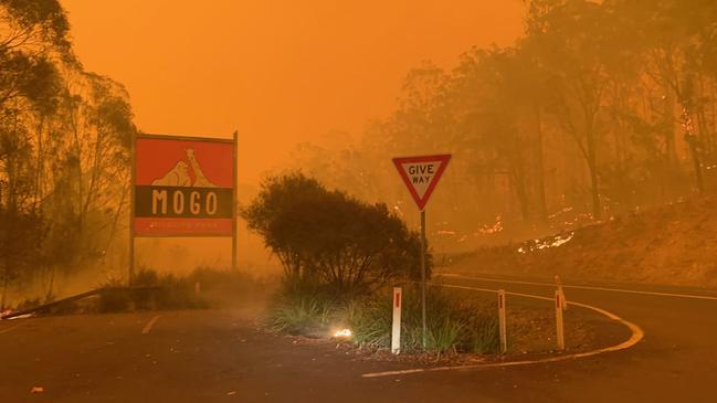 Homes and businesses were destroyed when fire ravaged the historic town of Mogo.