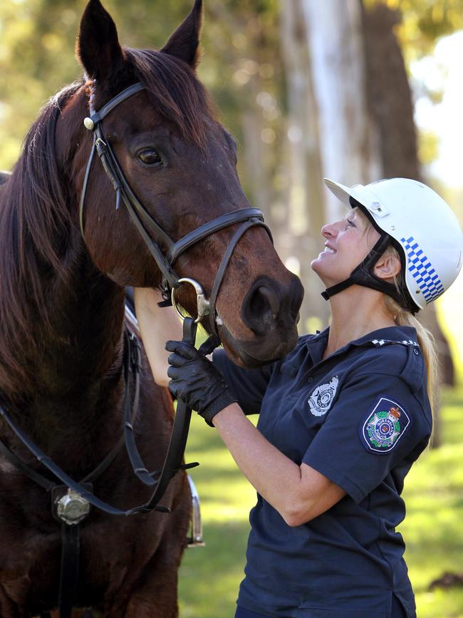 Chief de Beers spent some of his retirement as a polic horse.