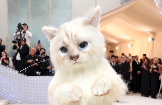 Celebs embody Karl Lagerfeld's cat Choupette for Met Gala 2023, Central  Western Daily