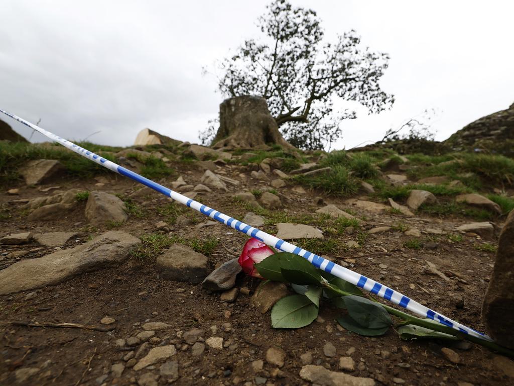 The tree, which was felled in the dead of night, was one of the UK's most photographed and appeared in the 1991 Kevin Costner film Robin Hood: Prince Of Thieves. Picture: Getty.