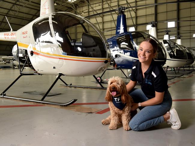 Theory therapy dog Miley with Georgie Arnold at Townsville Helicopters. Picture: Evan Morgan